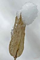 Cjp_2005_11_26_135946 (2).jpg